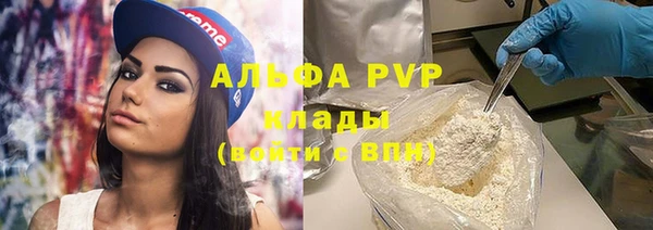 гашик Каменногорск