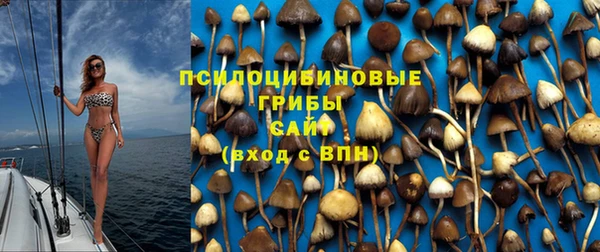 скорость Ельня