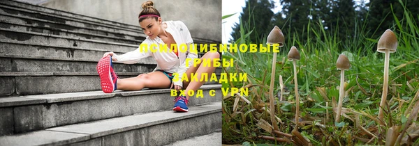 скорость Елизово