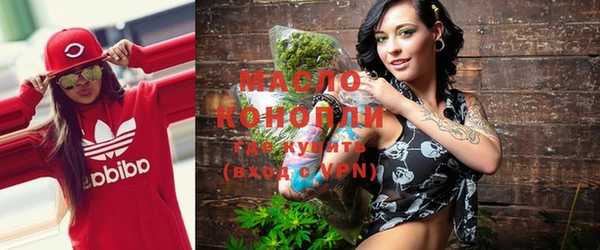 скорость Ельня