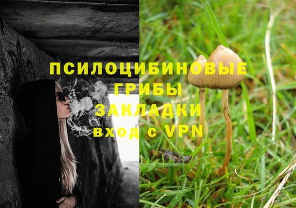скорость Ельня
