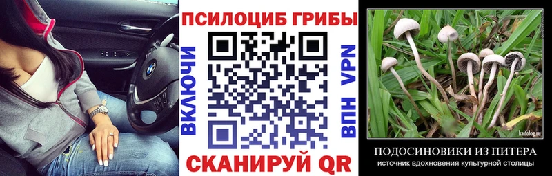 это формула  Емва  Псилоцибиновые грибы Psilocybe 